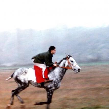  buon canter in mezzo al Pian del Lago cavallo Philippe le Hardy