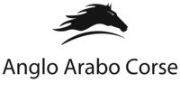 Anglo Arabo Corse